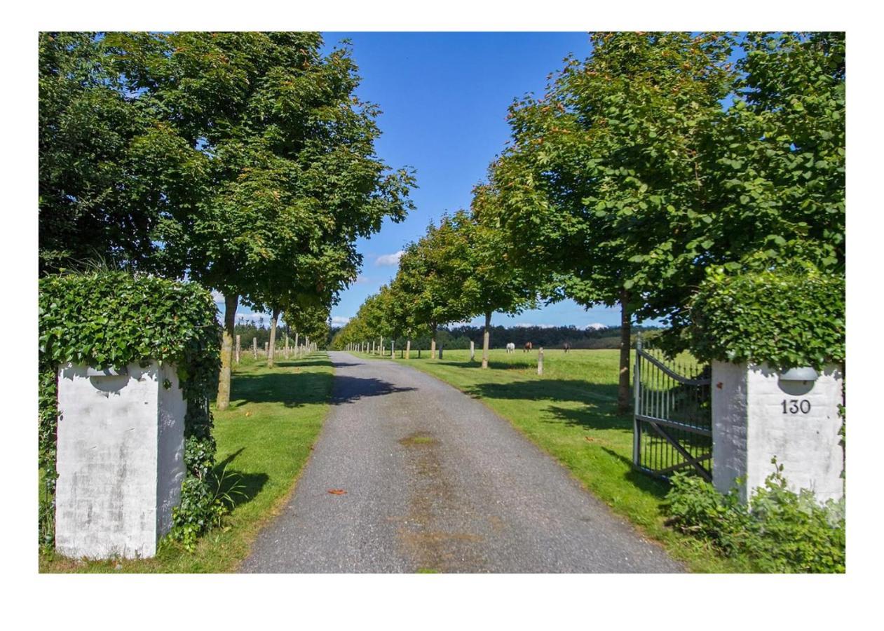Bed and Breakfast Holmsminde Viborg Zewnętrze zdjęcie
